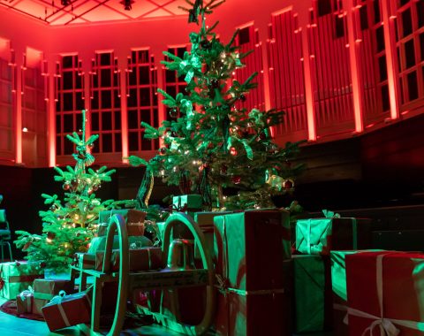 Zwei geschmückte Weihnachtsbäume mit Schlitten und Geschenken Fotocredit Patric Leo